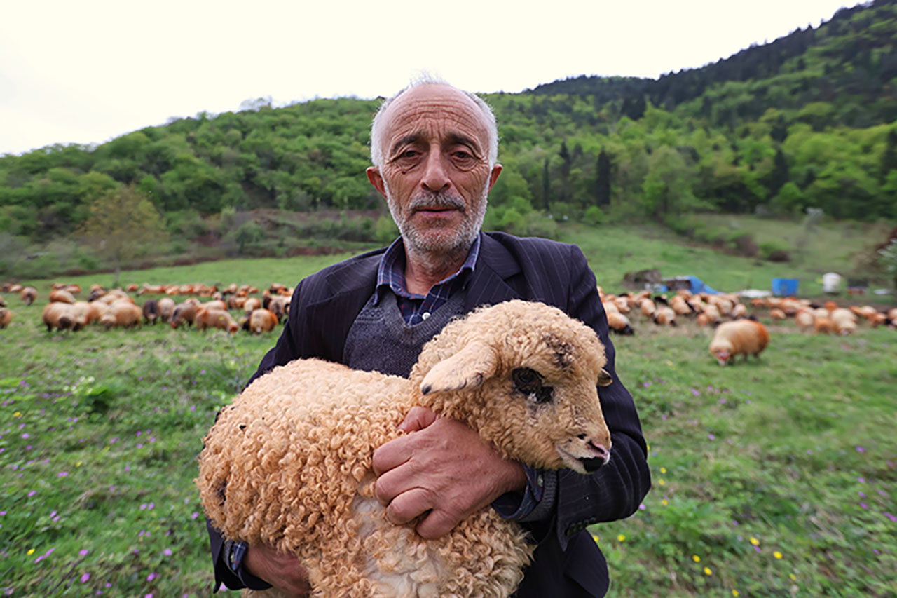 46 yıldır koyunların peşinde 12 saatlik mesai yapıyor!