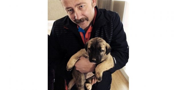 Yeni Kangalım, Yerim Ben Onu
