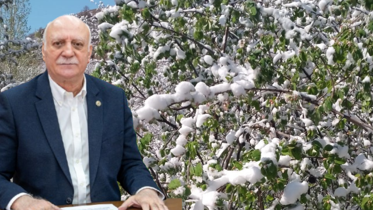TZOB Başkanı Bayraktar'dan zirai donla ilgili ilk açıklama!