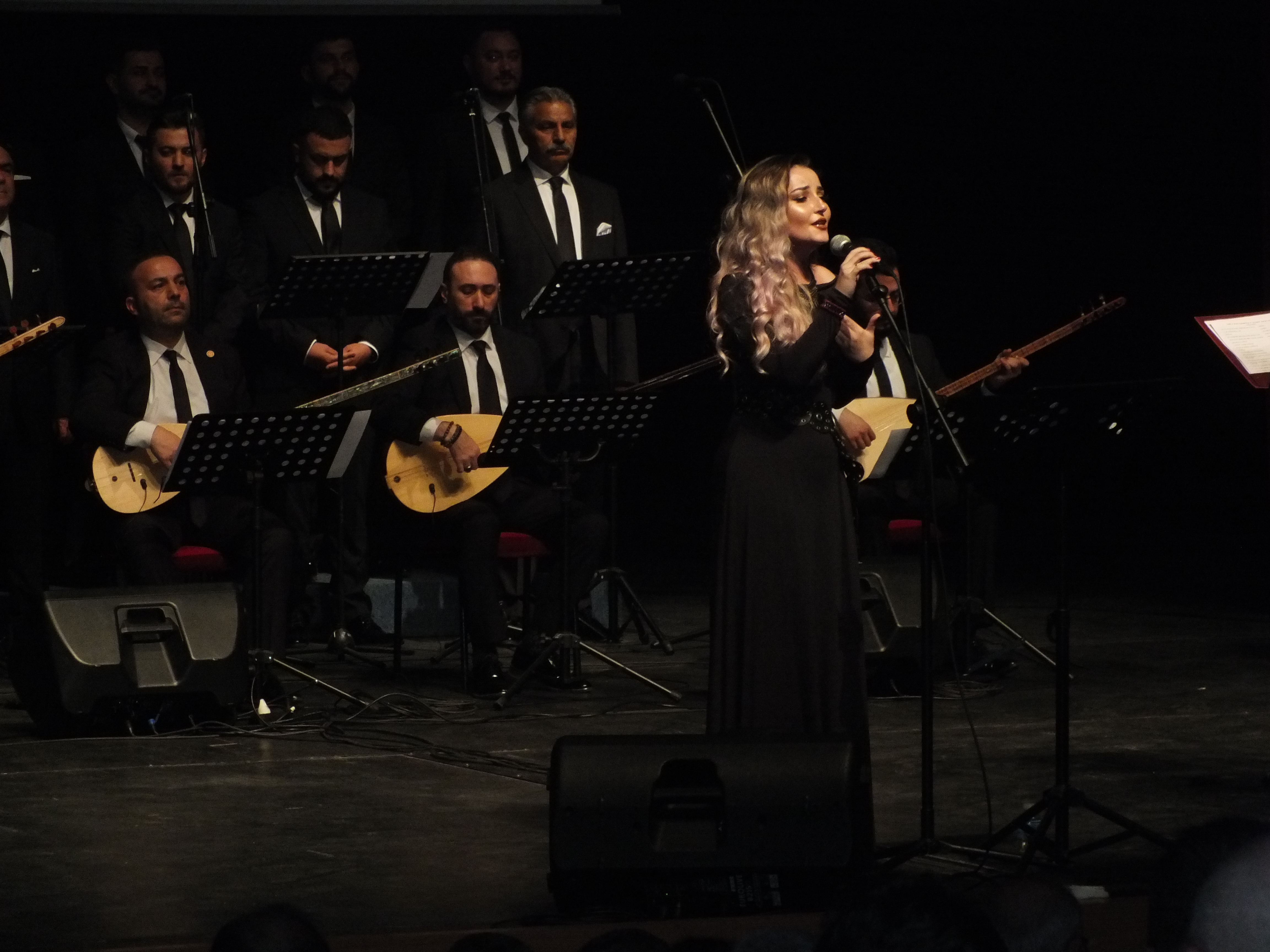 Sivas'ta Devlet THM korosu ses sanatçıları konser verdi