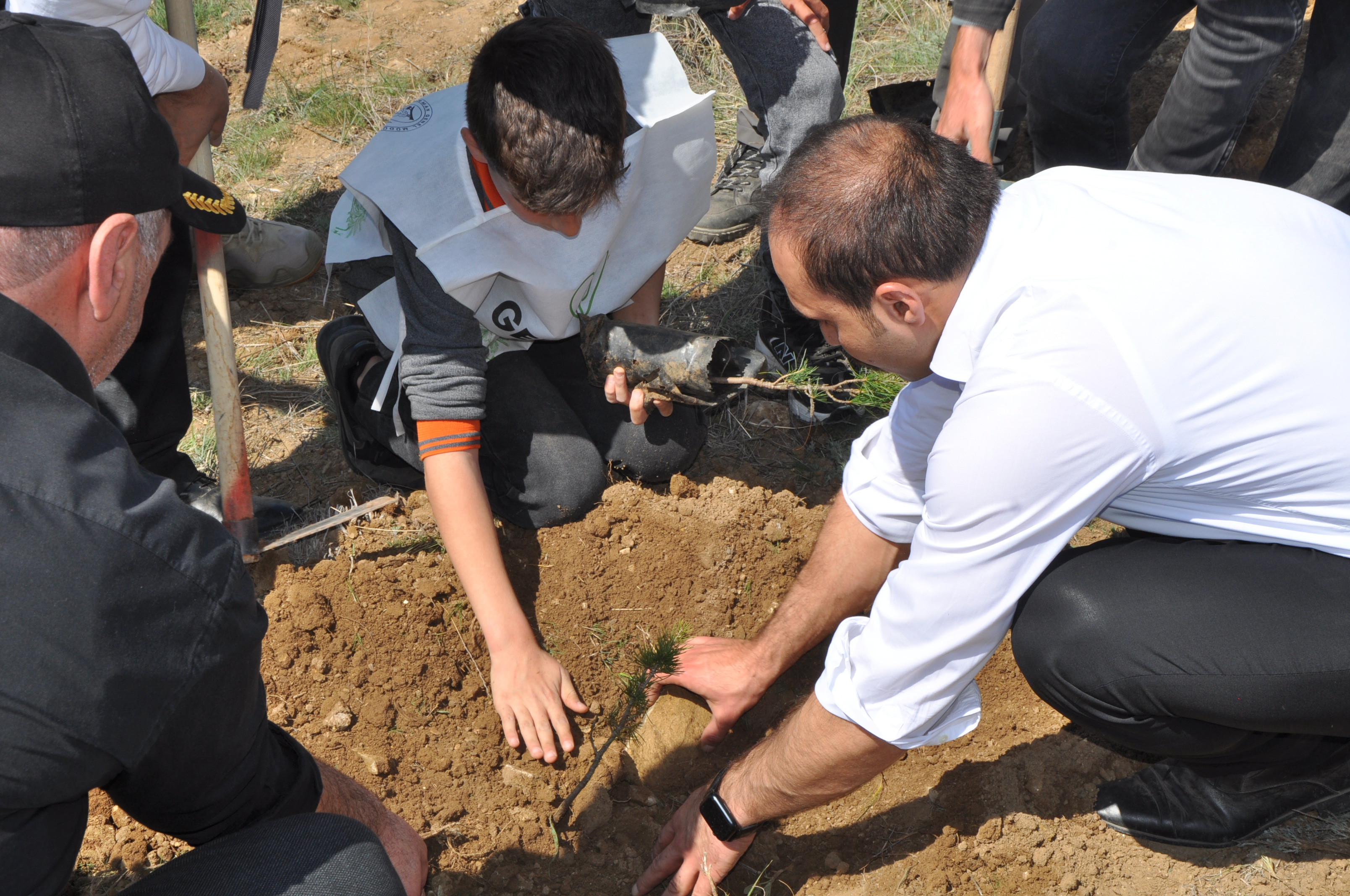 Gemerek'te 2 bin 500 fidan dikildi