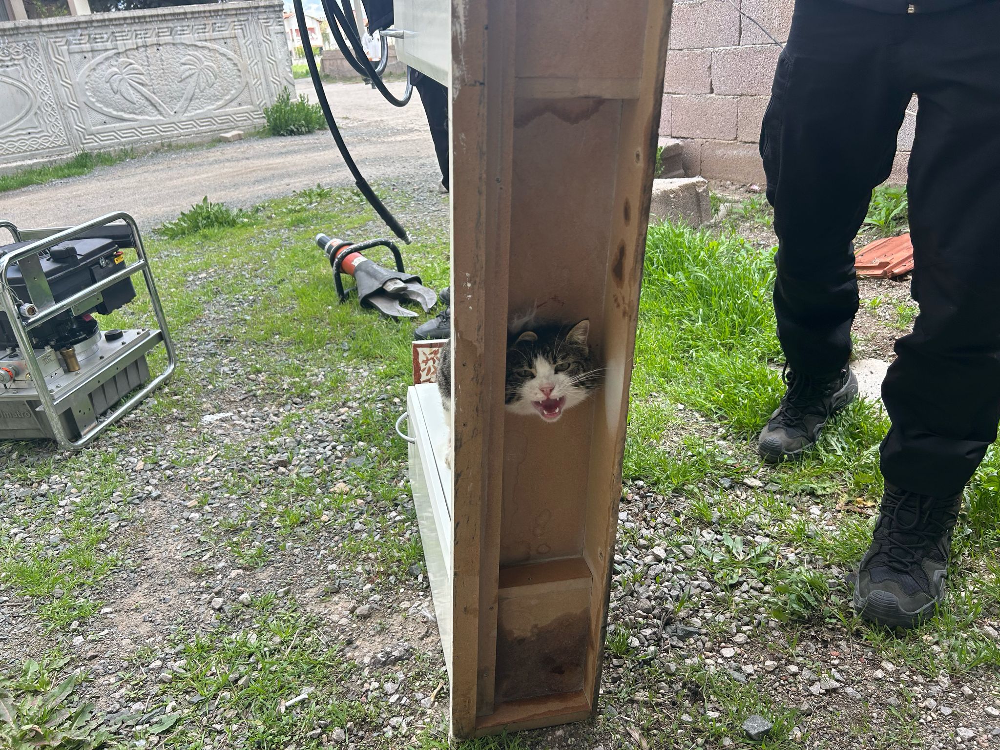 Sivas'ta Dolaba Sıkışan Kedi Uzun Uğraşlar Sonucu Kurtarıldı