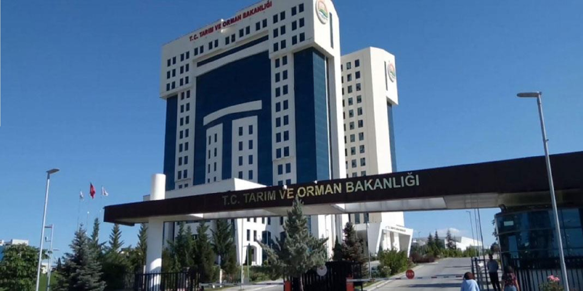 81 ilde ‘Orman Benim’ etkinliği düzenlenecek