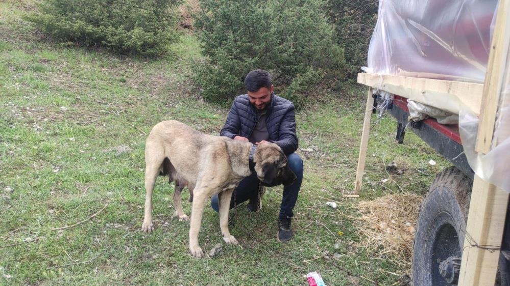 Sosyal medyada linç edilmişti! Gerçek bambaşka çıktı