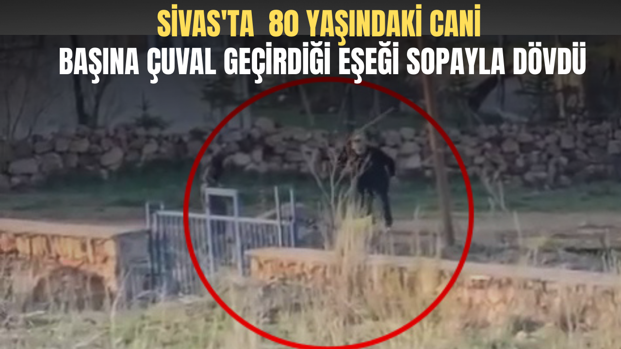 Sivas'ta  80 Yaşındaki Cani Başına Çuval Geçirdiği Eşeği Sopayla Dövdü