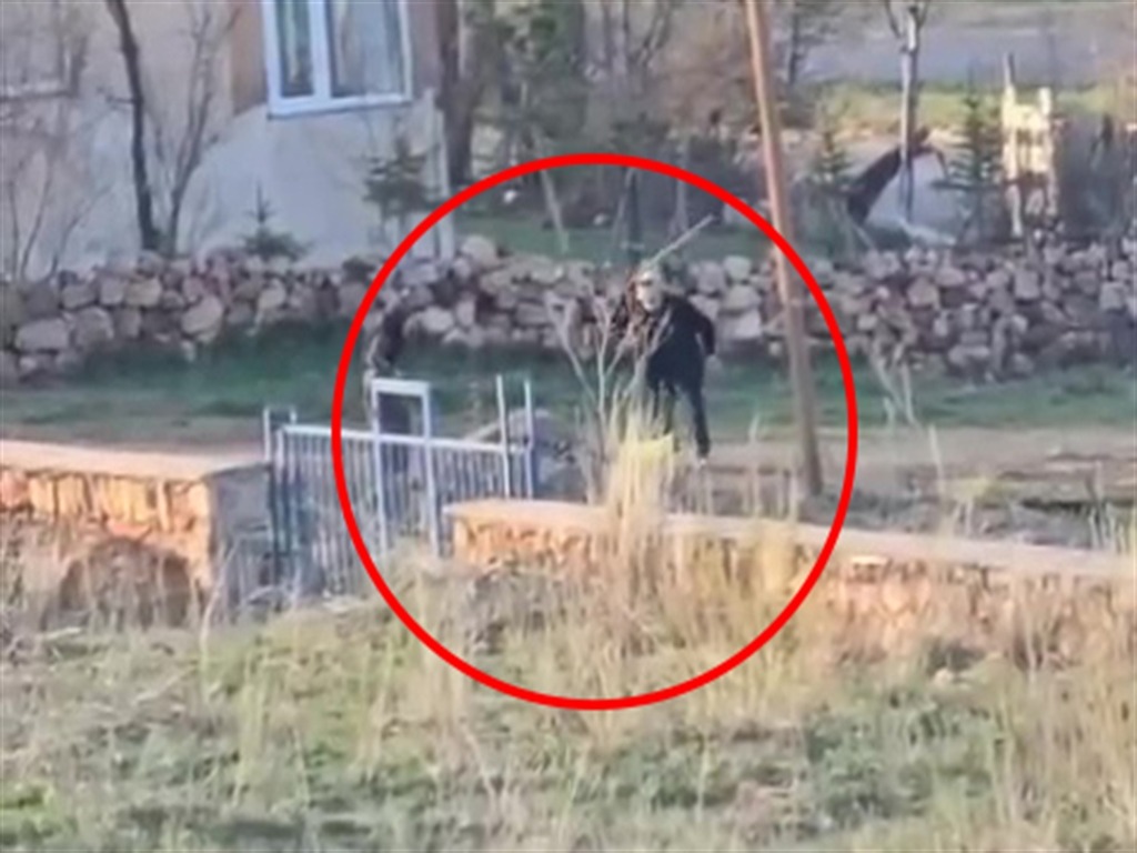 Sivas'ta dakikalarca şiddet gören eşek öldü!