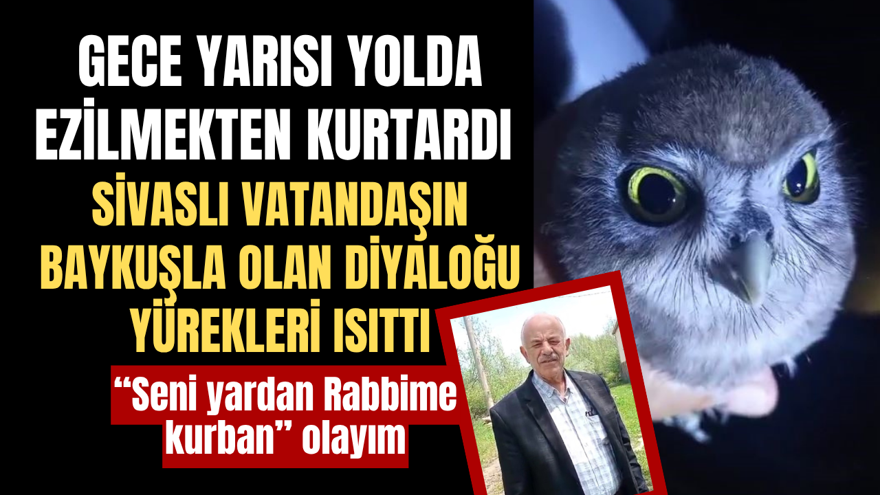 Sivas'ta vatandaşın baykuşla olan diyaloğu yürekleri ısıttı