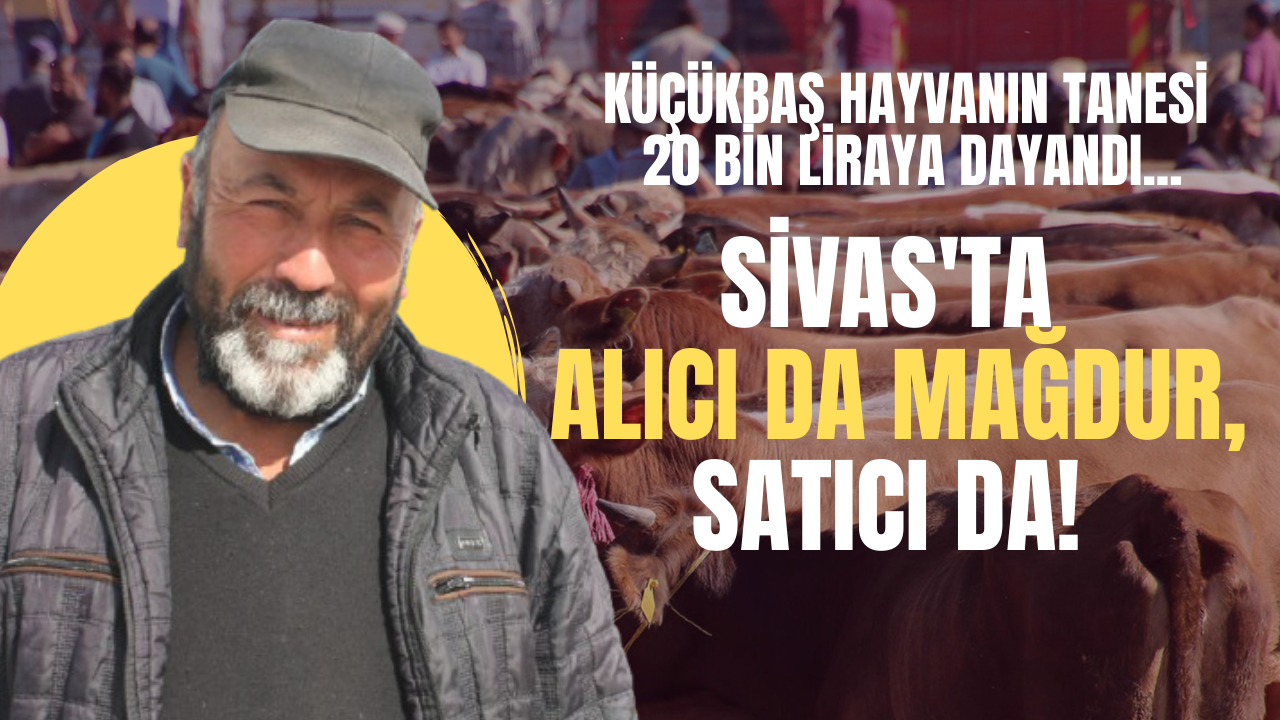 Sivas'ta alıcı da mağdur, satıcı da!