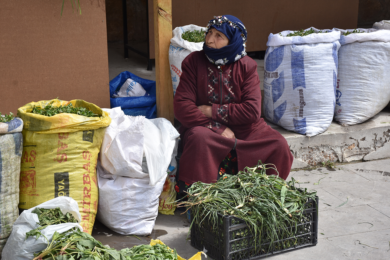 Sivas'ın Yeşil Altını: Madımak Hem Sofraları Hem Cepleri Dolduruyor