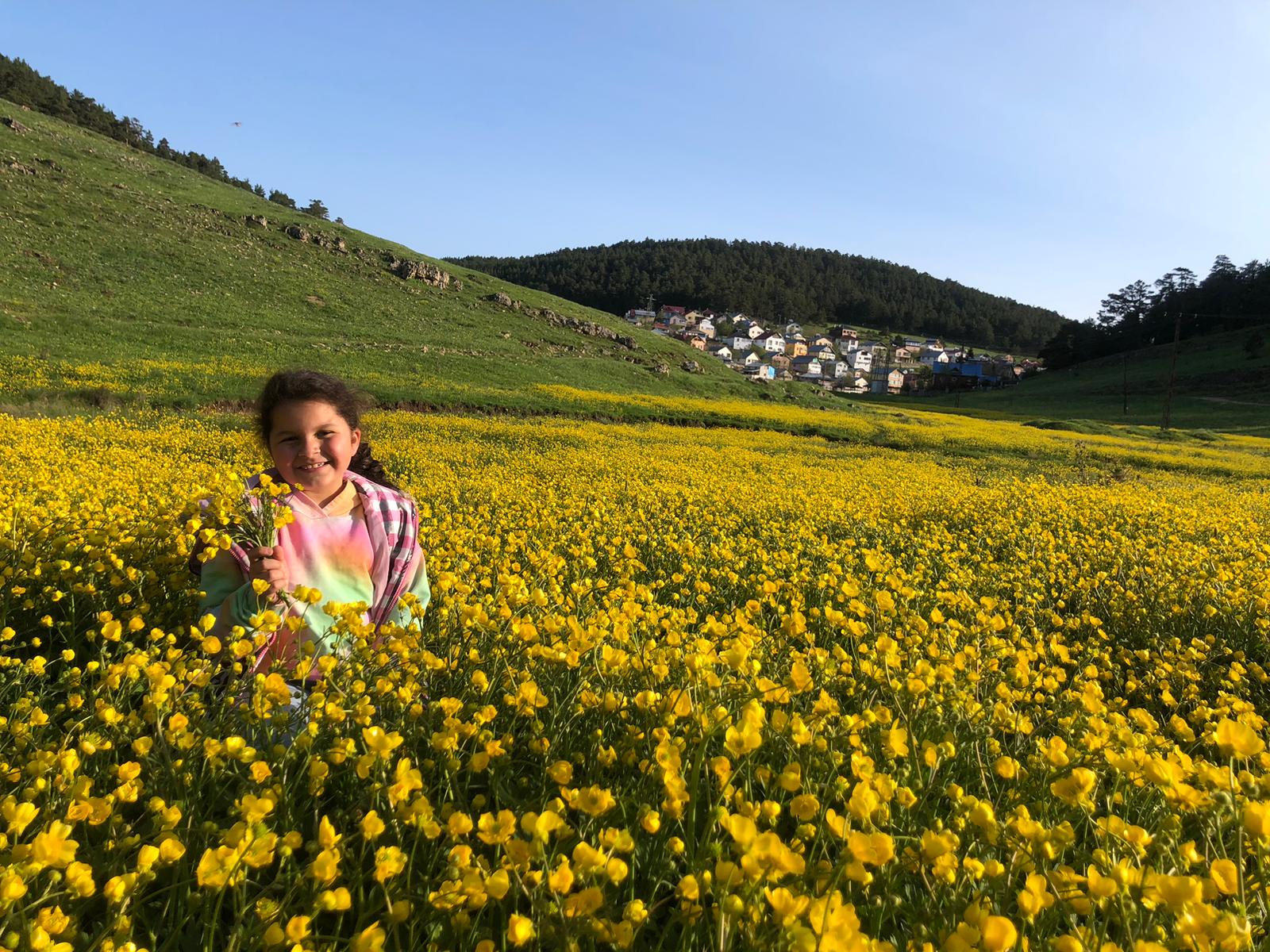 Yazın Gözdesi Eğriçimen, Papatyalarla Canlandı