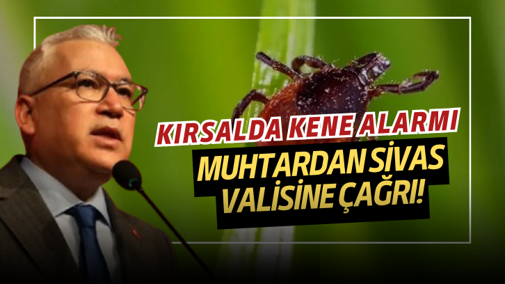Kırsalda Kene Alarmı: Muhtardan Sivas Valisine Çağrı!