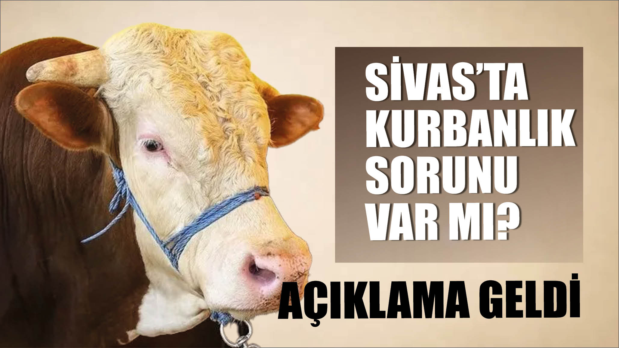 Sivas’ta Kurbanlık Sorunu Var Mı? Açıklama Geldi