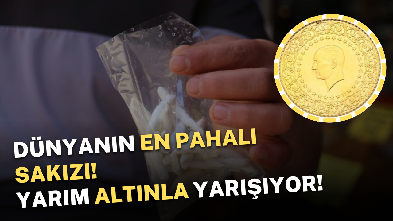 Dünyanın en pahalı sakızı! Yarım altınla yarışıyor!