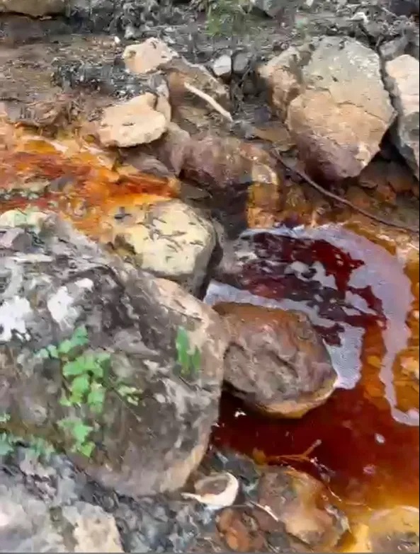 Sivas'taki çevre felaketi Meclis gündeminde!