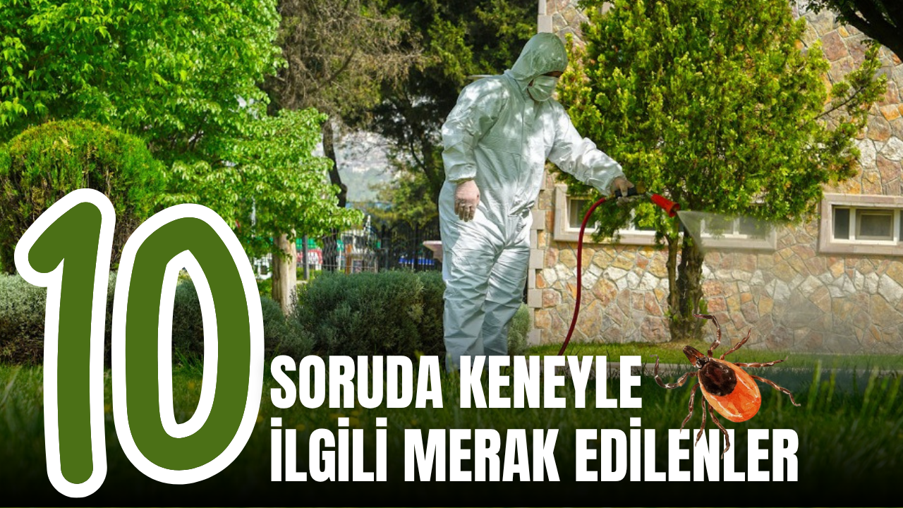 KKKA ile ilgili merak edilen 10 soruyu Sivas'ta uzmanı cevapladı!