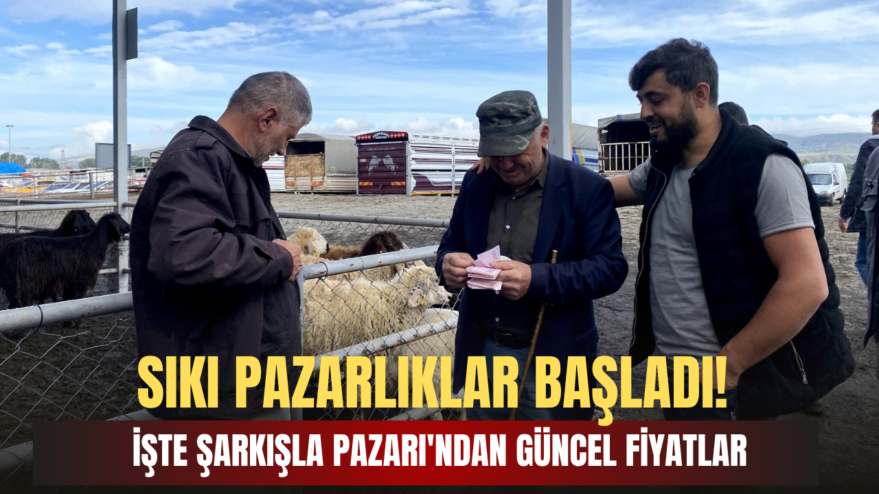 Sıkı Pazarlıklar Başladı! İşte Şarkışla Pazarı'ndan Güncel Fiyatlar
