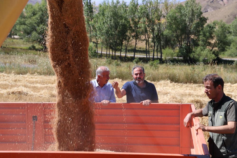 Sivas çiftçisi TMO'nun alım fiyatlarına ne diyor?