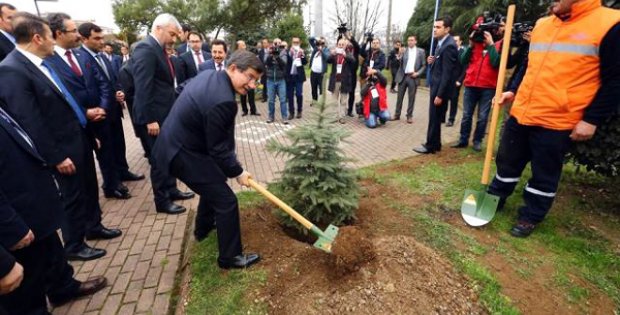 Başbakan Davutoğlu´na Özel 1071 Fidan Dikildi