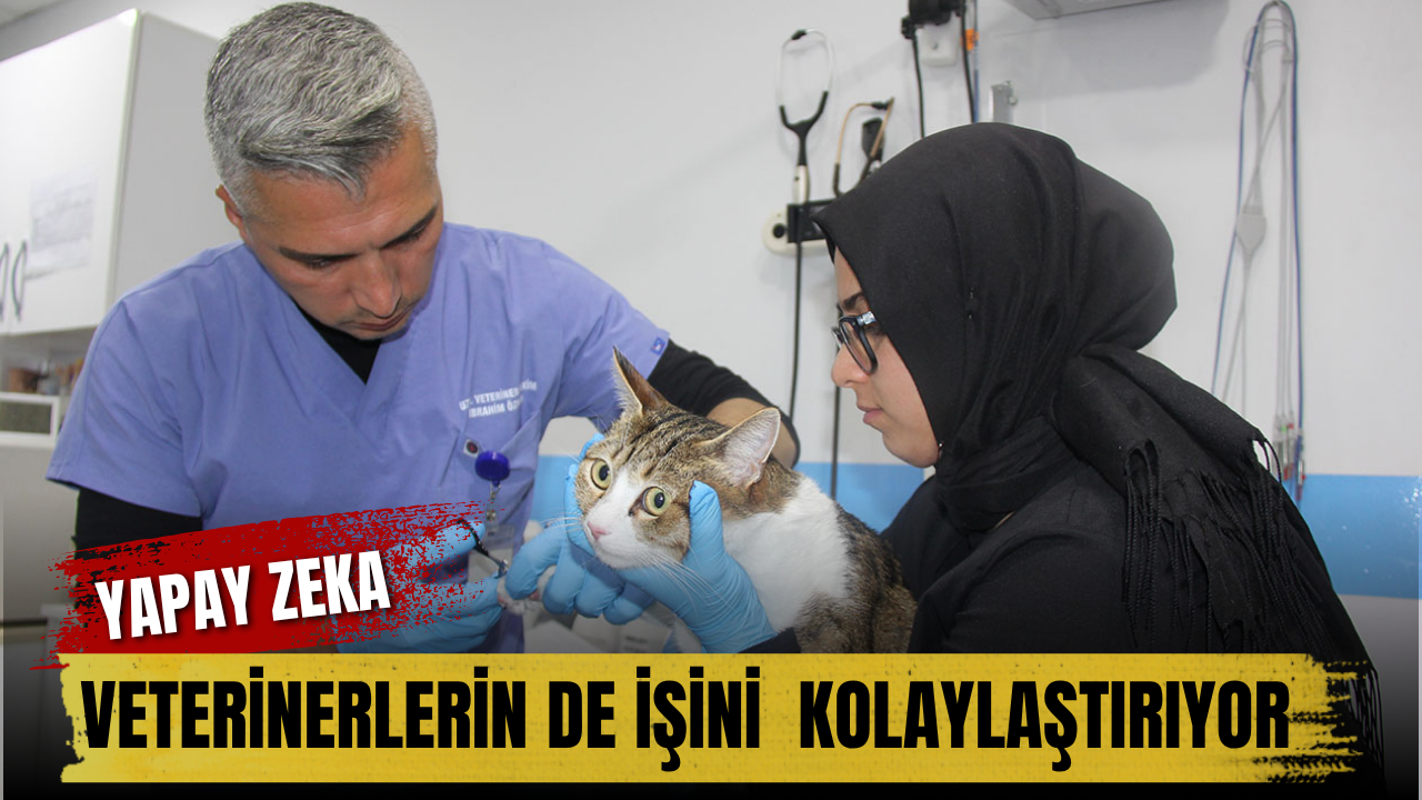 Yapay zeka veterinerlerin de işini kolaylaştırıyor