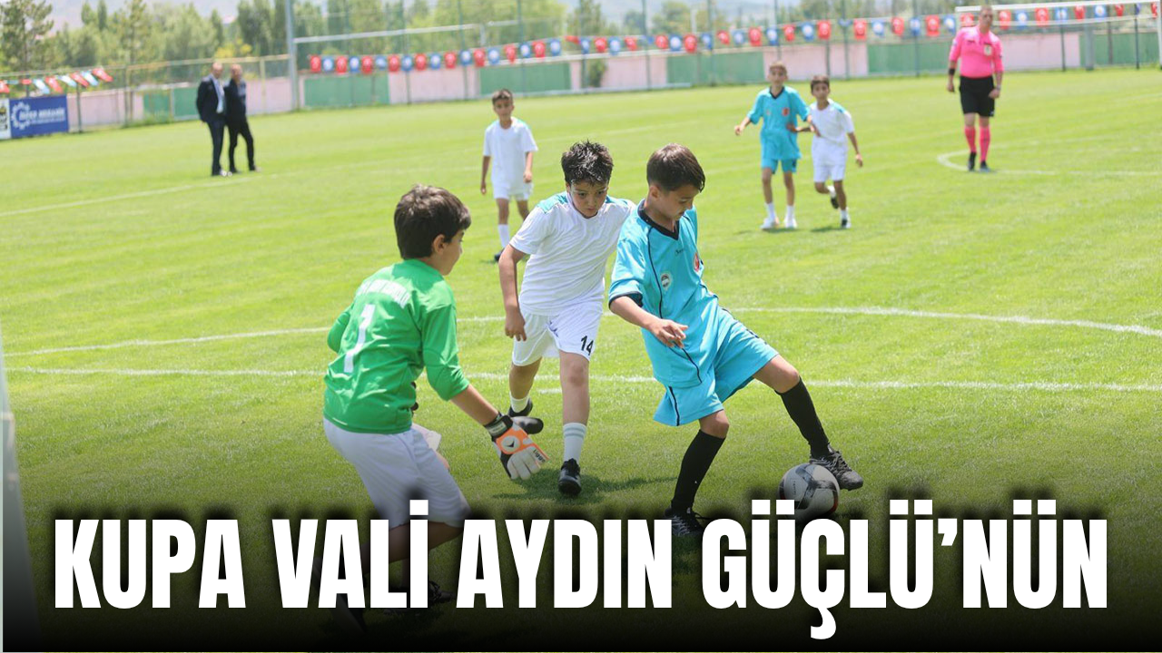 Kupa Vali Aydın Güçlü’nün