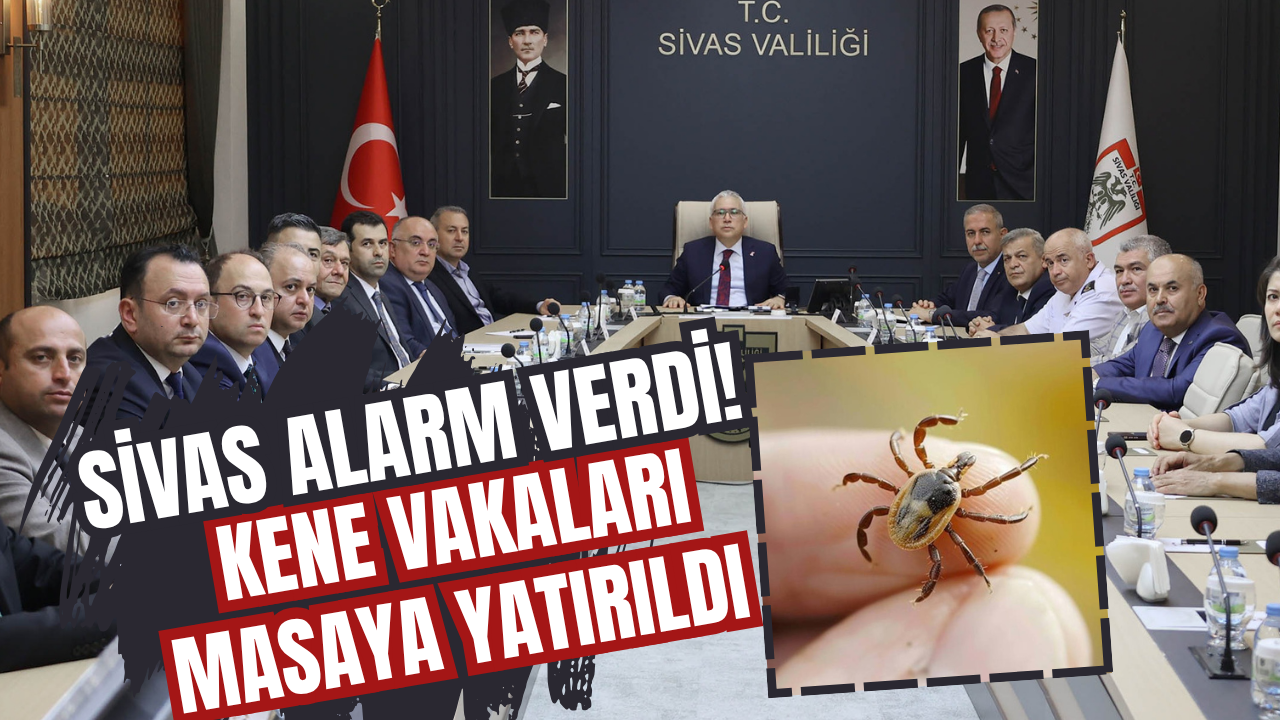 Sivas Alarm Verdi! Kene Vakaları Masaya Yatırıldı