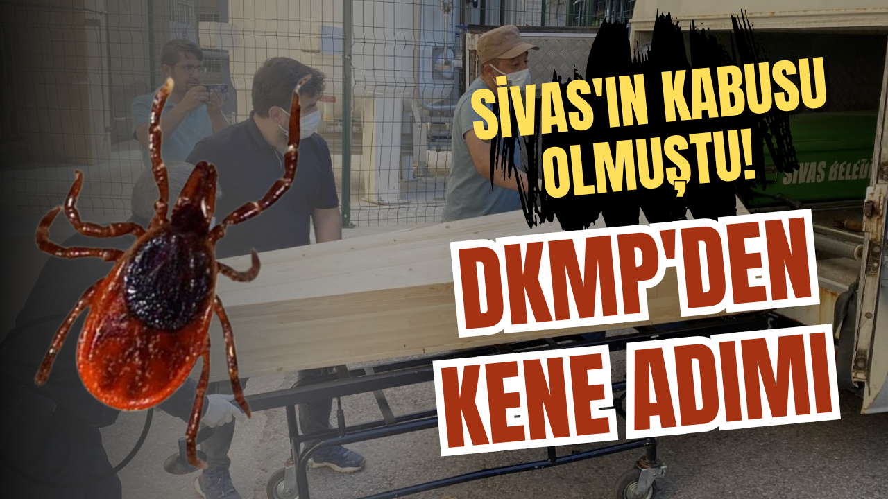Sivas'ın kabusu olmuştu! DKMP'den kene adımı
