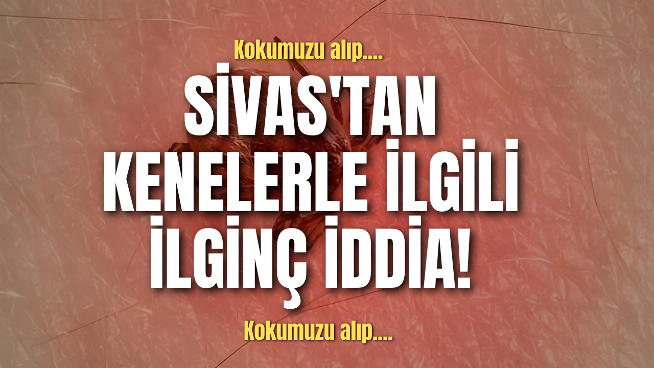 Sivas'tan kenelerle ilgili ilginç iddia!
