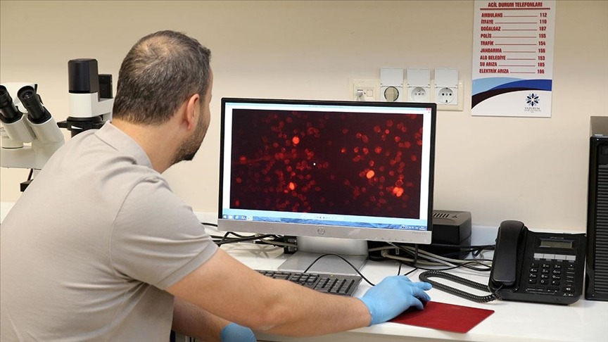 Alzheimer’ın Kan Testiyle Erken Tanısı Mümkün Olabilir