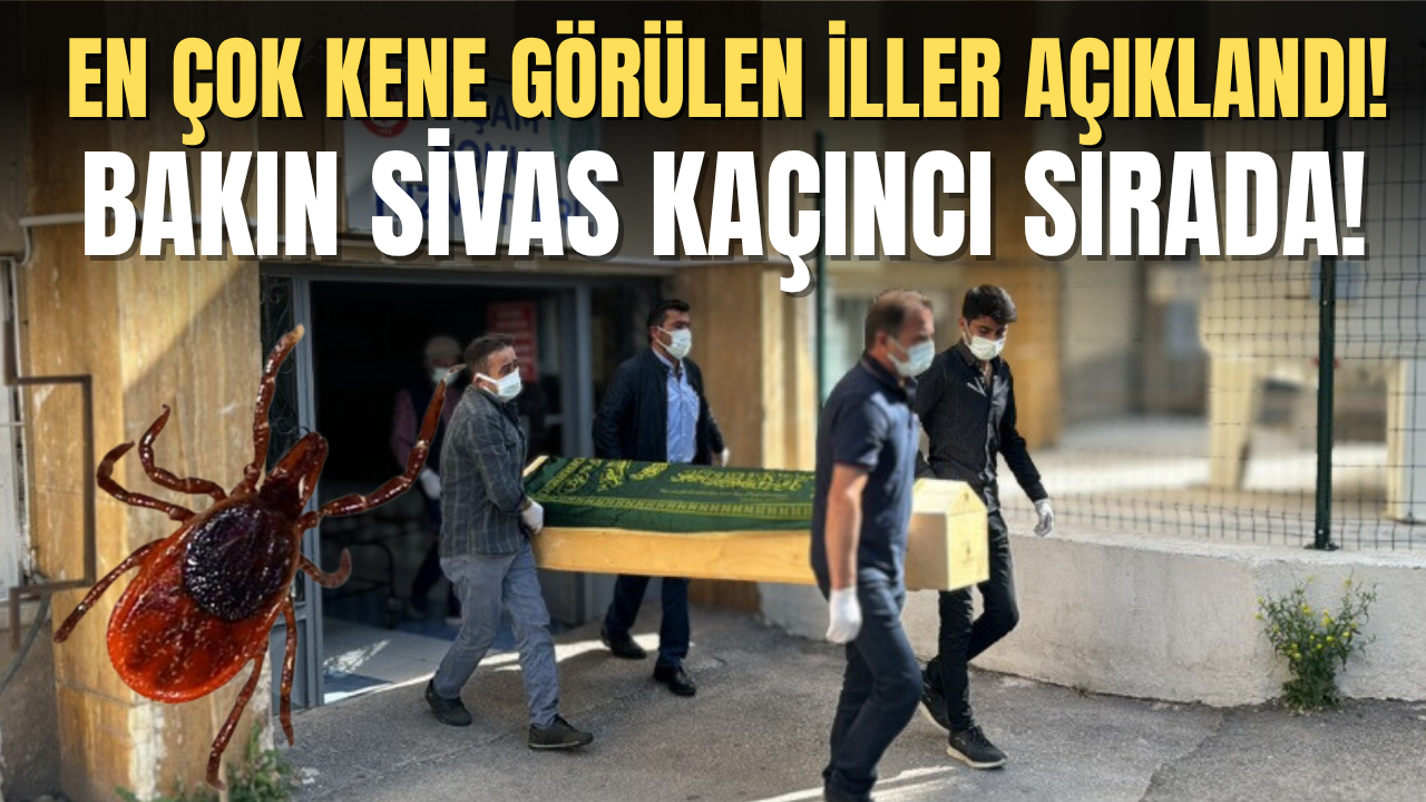 En çok kene görülen iller açıklandı! Bakın Sivas kaçıncı sırada!