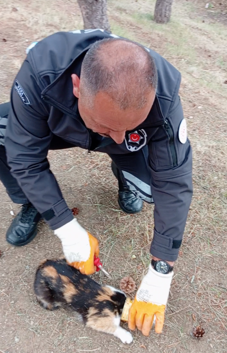 Kafası konserve kutusuna sıkışan kediyi güvenlik kurtardı