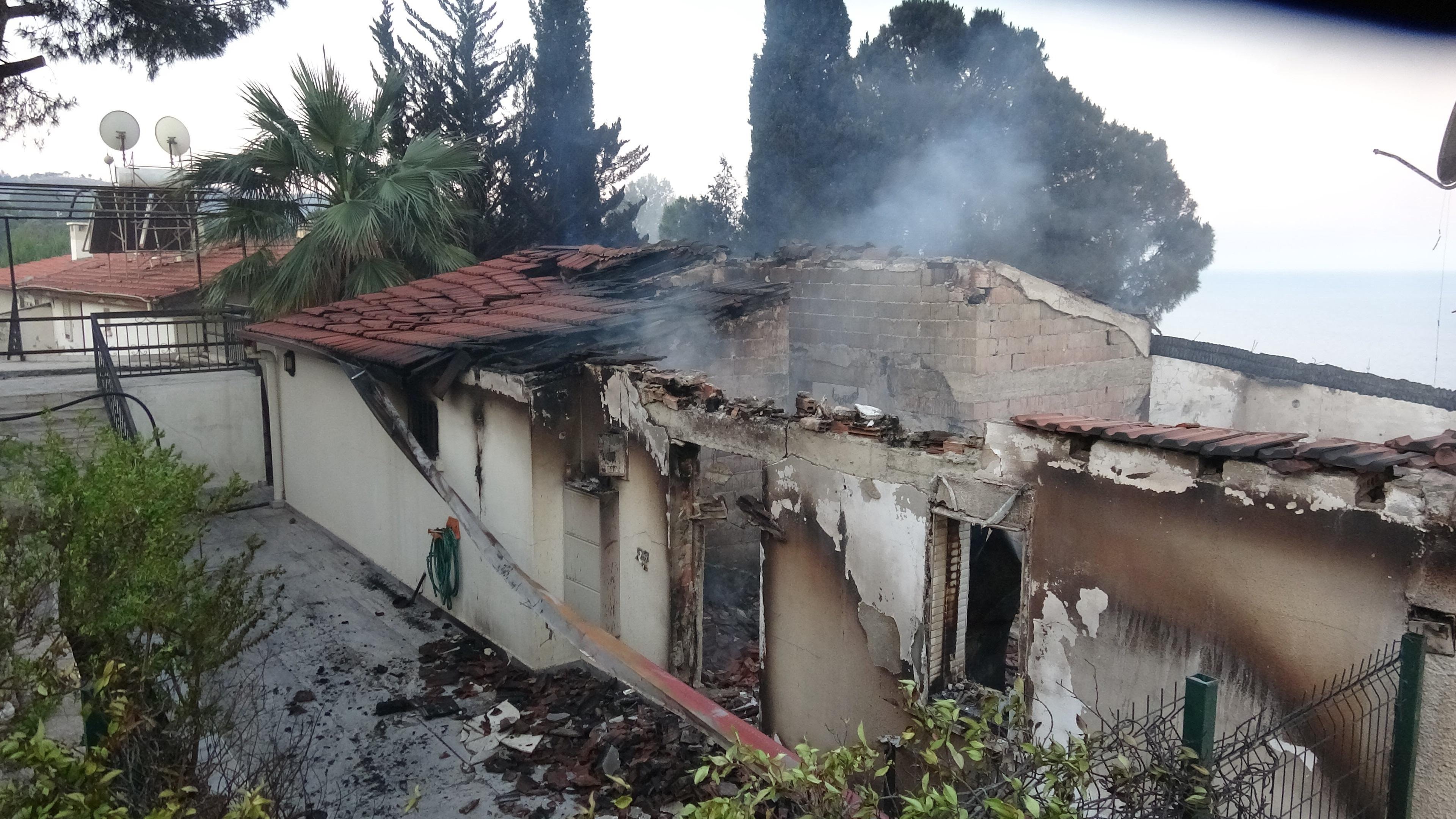 Facianın boyutu gün ağarınca ortaya çıktı!