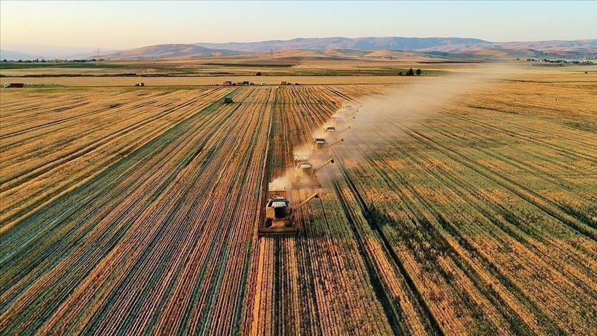 Tarım ve Orman Bakanlığı açıkladı! Başvurular 14 Temmuz'da