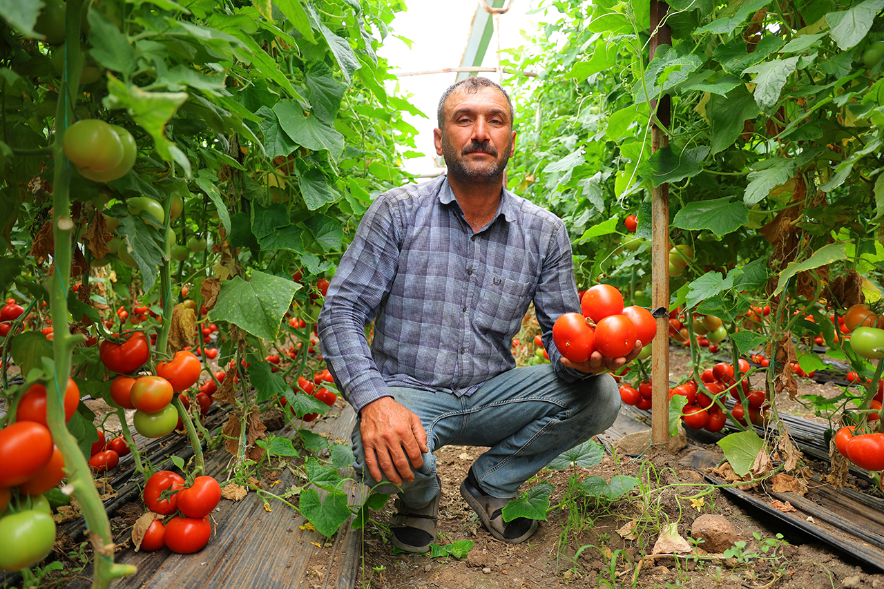 Maraş’ta üretiliyor, Sivas’ta tüketiliyor