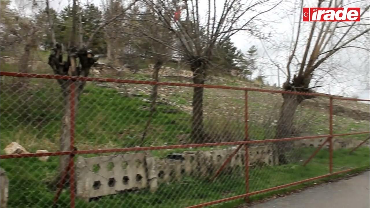 SARHOŞLAR MAHALLEYİ MESKEN TUTTU!
