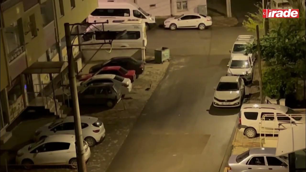 Sivas'ta Tilki Şehir Merkezine İndi