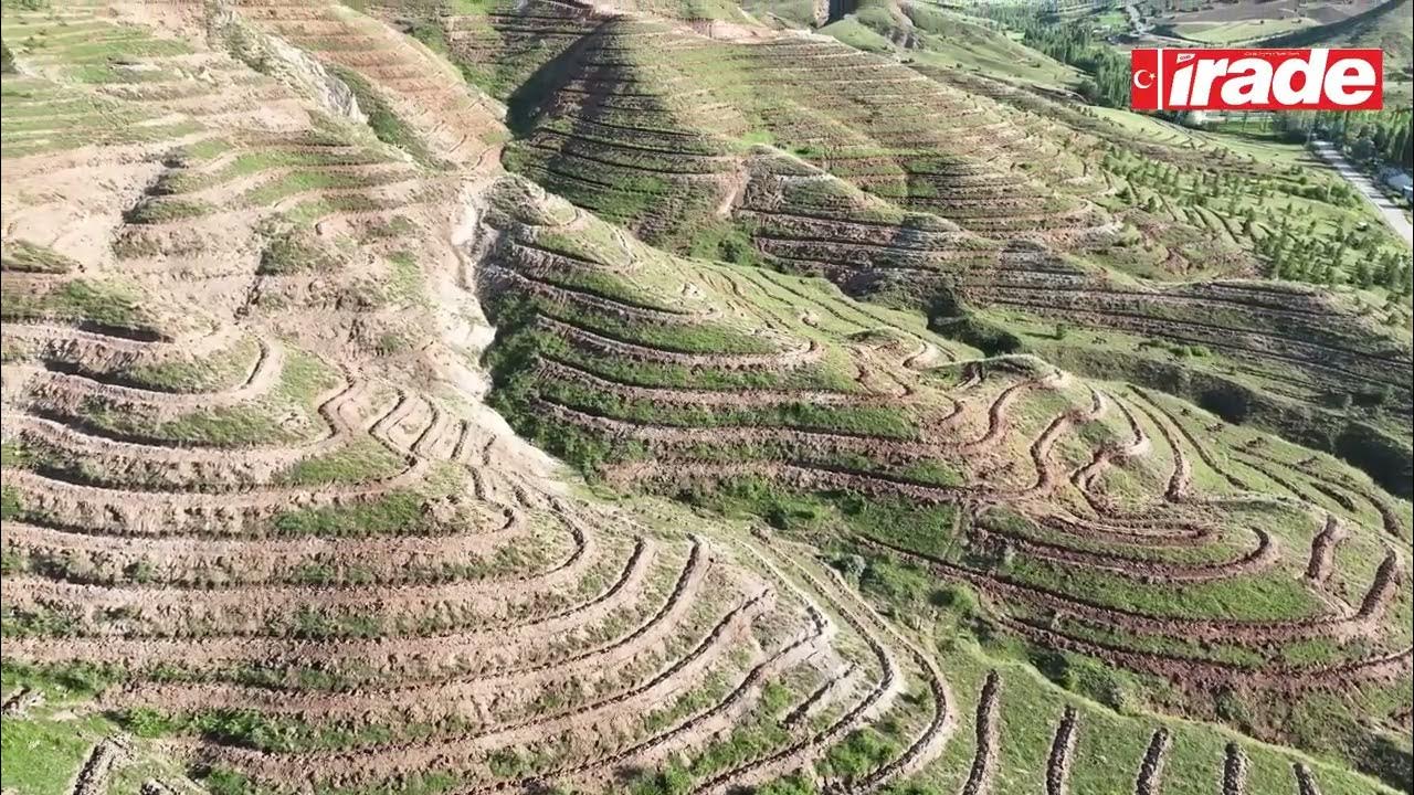 Sivas Yeni Bir Orman Kazanıyor