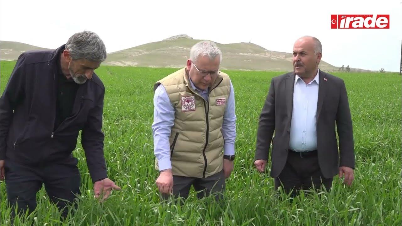Sivas'ta selden zarar gören çiftçilerin mağduriyeti giderilecek