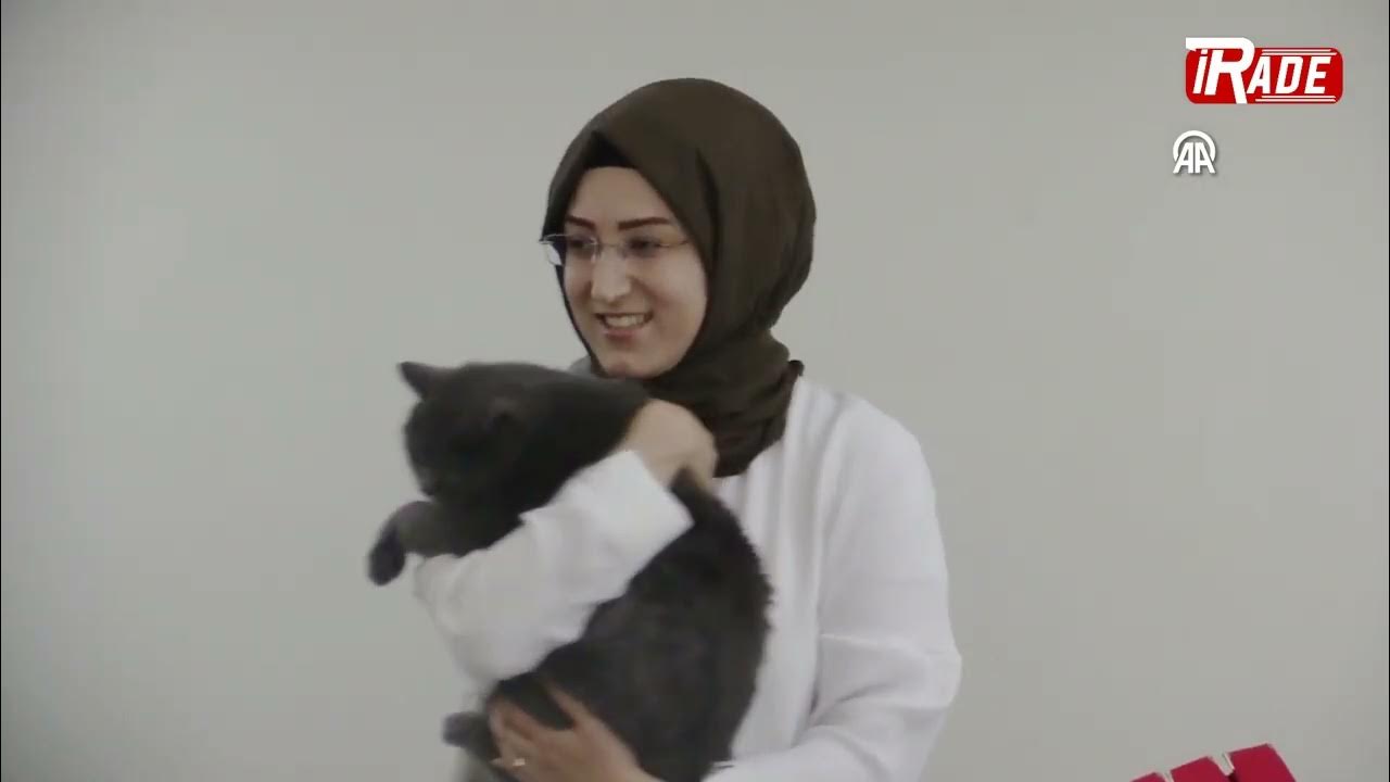 Kedi Güzellik Yarışmasında Müstesna Birinci Seçildi