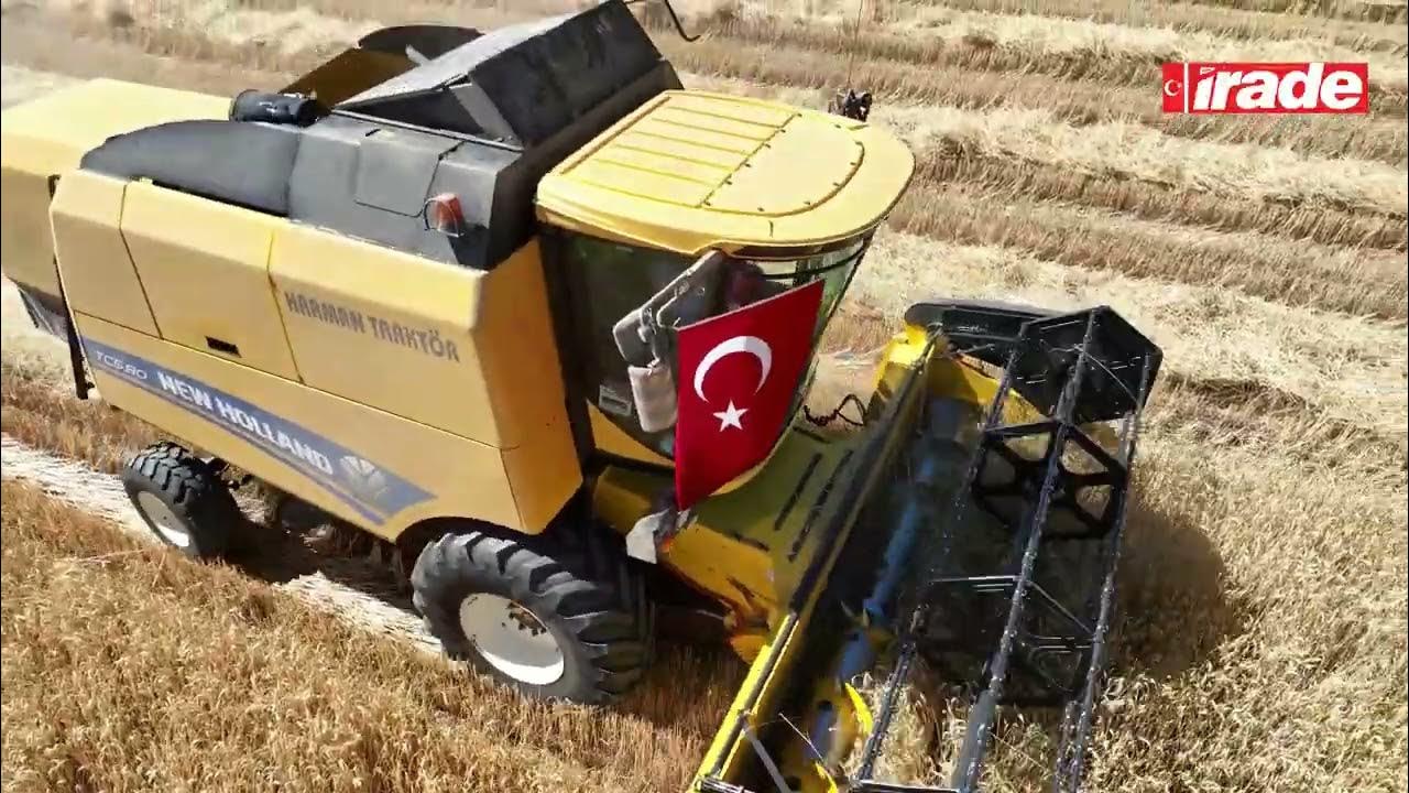 Sivas'ta Tritikale Üretiminde Rekor Bekleniyor