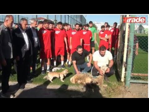 Sivas 4 Eylül Futbol Kulübü, Kurban Keserek Sezonu Açtı