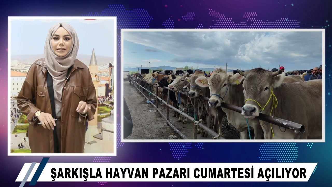 Sivas İrade Ana Haber - 19 Ekim 2023
