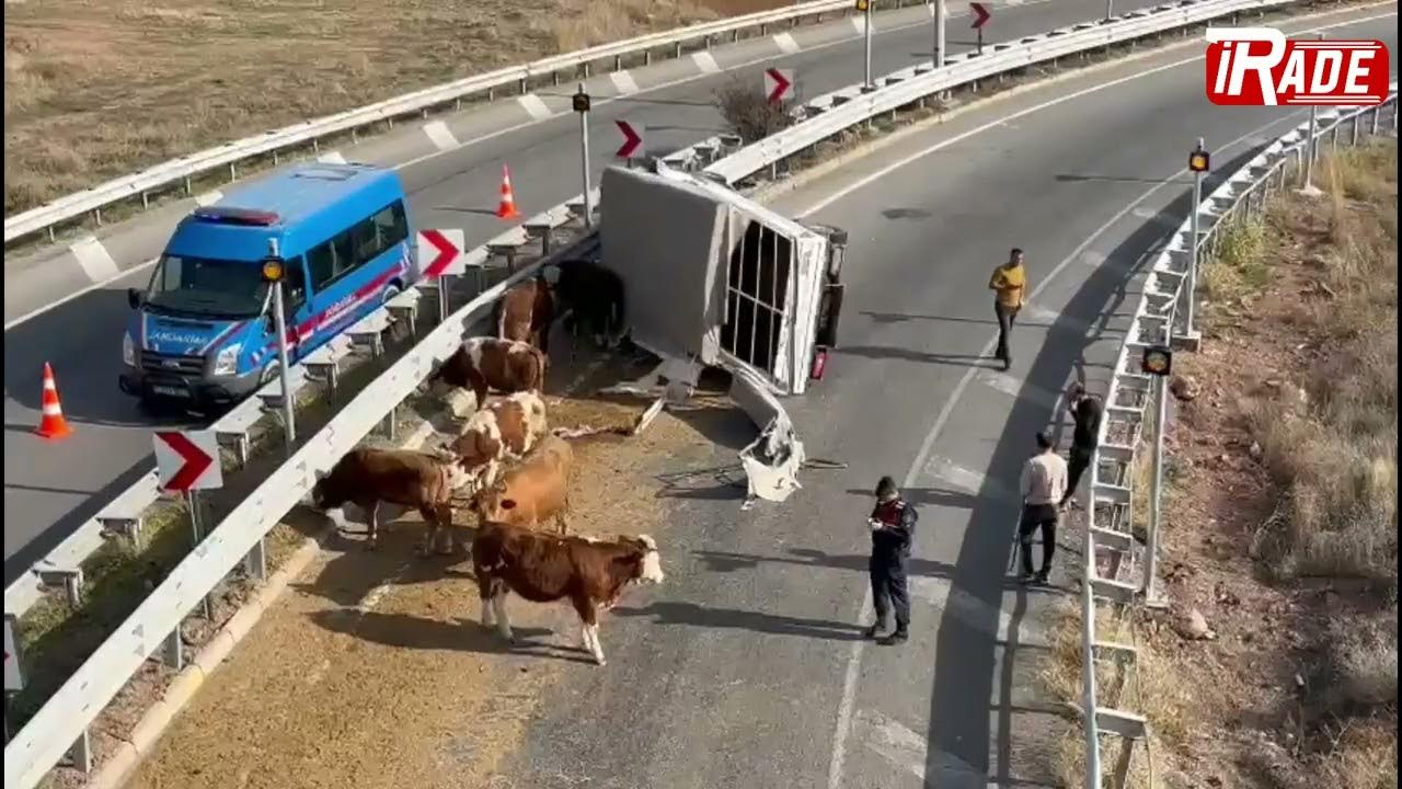 Sivas'ta Feci Kaza! Telef Oldu