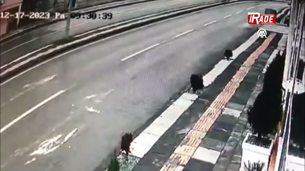Sivas'ta Kontrolden Çıkan Araç İş Yerine Daldı