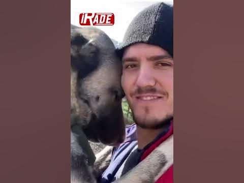 Kangal Köpeği ve Sahibinin Görüntüleri Duygusal Anlar Yaşattı #keşfetbeniöneçıkar #kangalköpeği