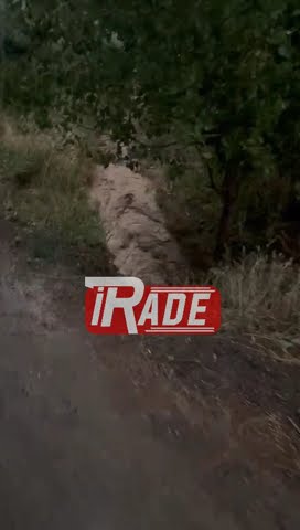 Sağanak Yağışın Şiddetini Artırdığı Sivas'ta Dereler Taştı!
