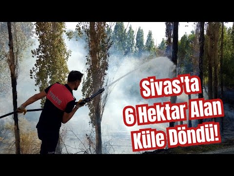 Sivas'ta 6 Hektar Alan Küle Döndü!