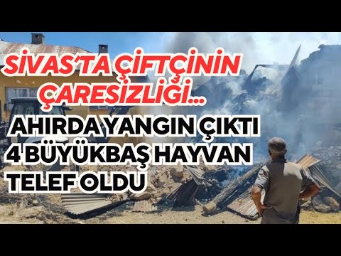 Sivas'ta Samanlıkta Yangın Çıktı: 4 Büyükbaş Hayvan Telef Oldu