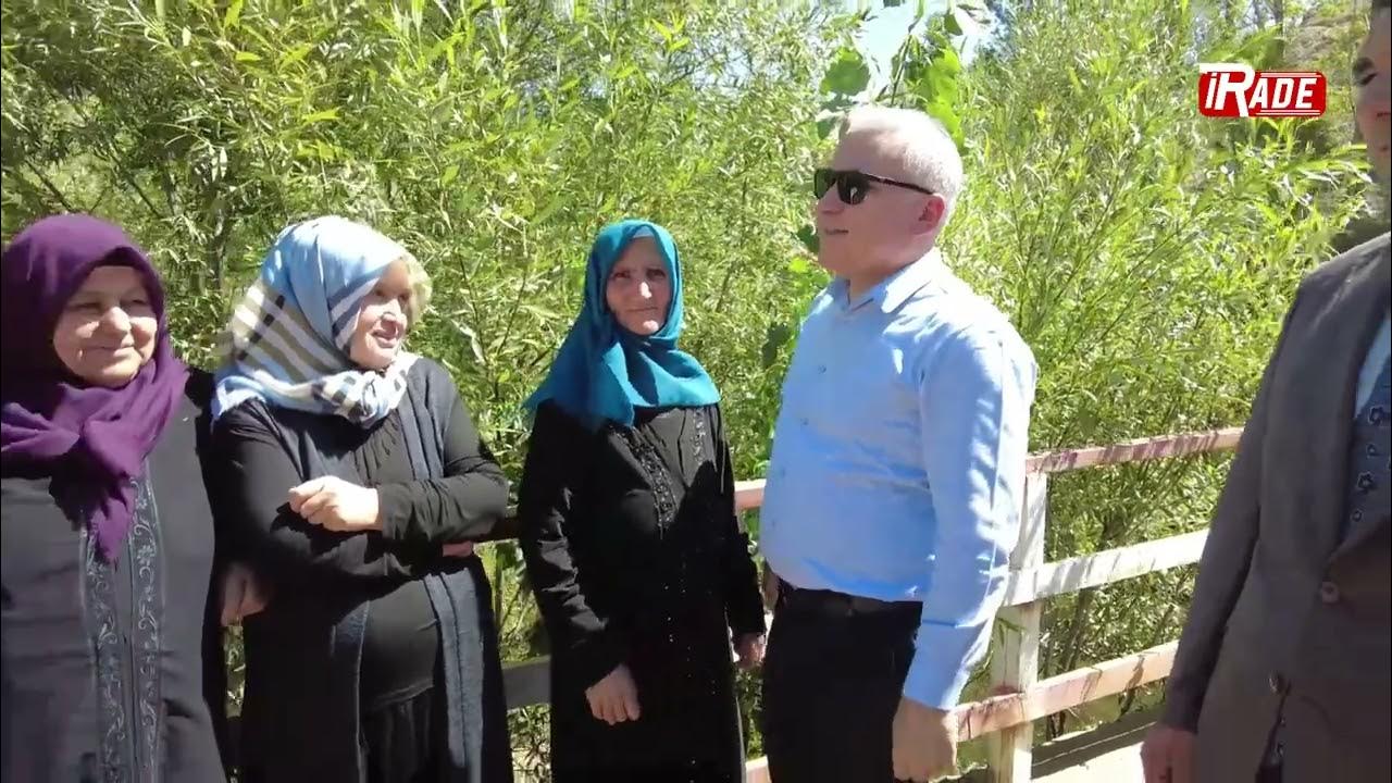 Sivas'ta Altın Sıvıda Hasat Başladı