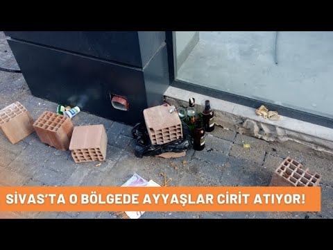 Sivas’ta O Bölgede Ayyaşlar Cirit Atıyor!