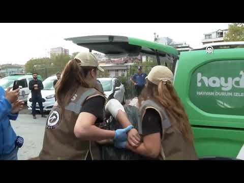 Sivaslı Polis Şeyda Yılmaz'ı şehit eden alçak adliyeye içinde  